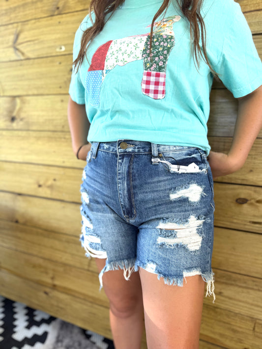 High Rise Rigid Distress Shorts